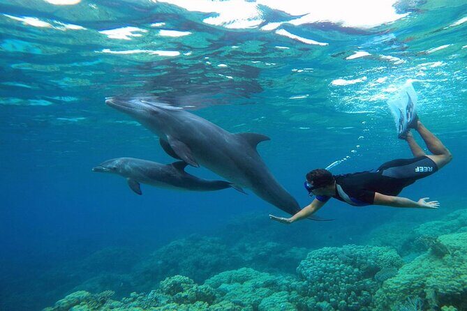 2 Diving stops at the most beautiful coral reefs Hurghada - Authentic Traveler Insights