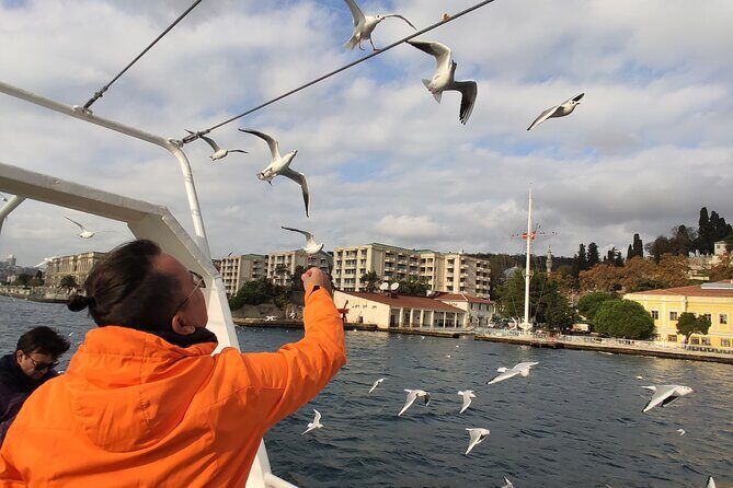 2-Hour Bosphorus Cruise in Istanbul with Guide - Who Will Love This Tour?