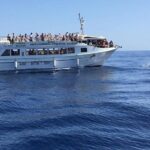 2-Hour Dolphin and Whale Watching in Gran Canaria - Price and Value: Is It Worth It?