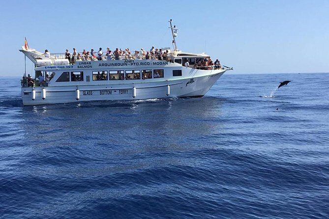 2-Hour Dolphin and Whale Watching in Gran Canaria - Price and Value: Is It Worth It?