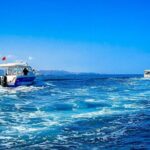 2 Hour Dolphin Watching Experience in Muscat - Pricing and Value