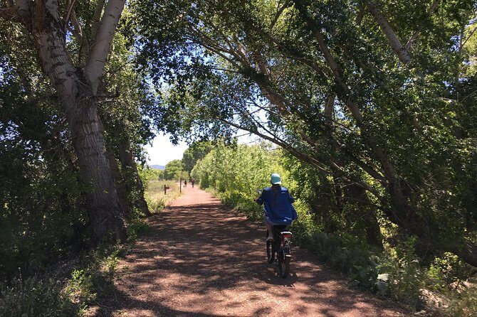 2 Hour E bike Ride at The Peavine Trail (Popular) - The Bikes and Equipment