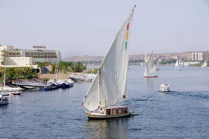 2-Hour Felucca Ride on the River Nile from Cairo - Sunset or Sunrise Options - Authentic Experiences and Honest Insights from Reviewers