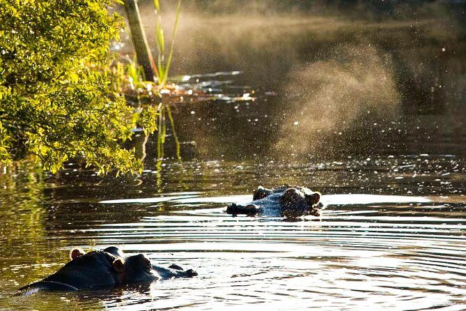 2-Hour Game Drive at the Plettenberg Bay Game Reserve - The Value of the Experience
