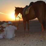 2 Hour Horse Riding Experience in Hurghada - What to Expect During the Ride