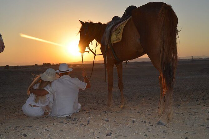 2 Hour Horse Riding Experience in Hurghada - What to Expect During the Ride