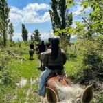 2-hour horse riding tour at Palomino Ranch Near Tbilisi - A Closer Look at the Experience