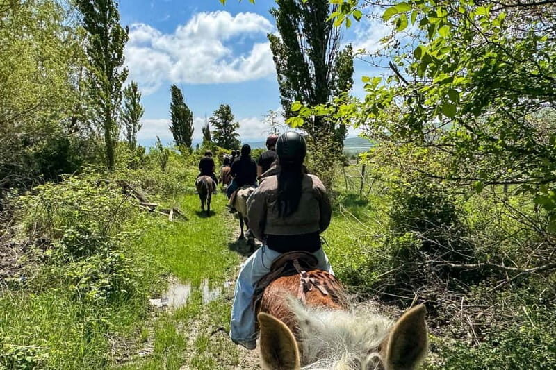 2-hour horse riding tour at Palomino Ranch Near Tbilisi - A Closer Look at the Experience