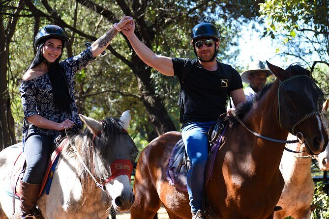 2-Hour Horseback Safari in Hartbeespoort - Detailed Review of the Horseback Safari Experience