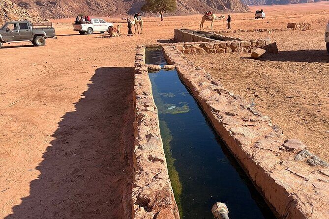 2 Hour Jeep Tour (Morning or Sunset) Wadi Rum Desert Highlights - Practical Details and What You Can Expect