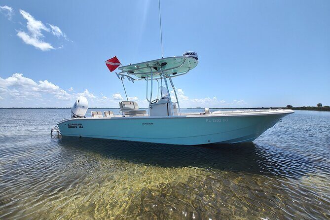 2-Hour Private Sightseeing Dolphin Tour in Panama City Beach - Why This Tour Offers Great Value