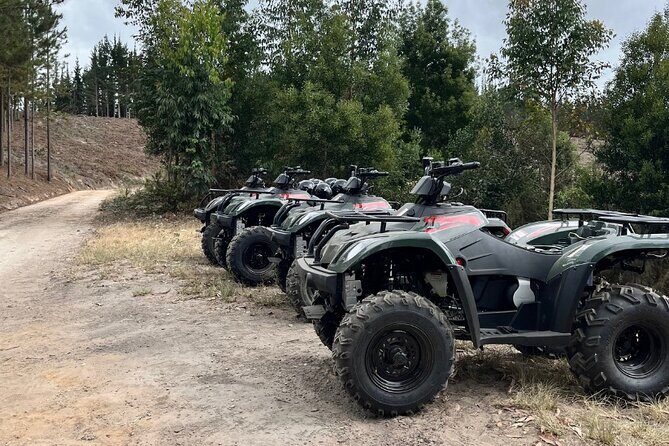 2-Hour Quad Biking Guided Excursion Through the Knysna Forests - Why This Tour Offers Great Value