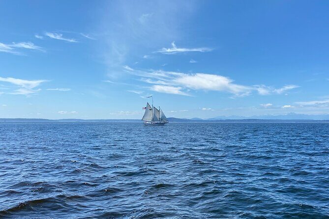 2-Hour Seattle Sailing Harbor Tour - Detailed Breakdown of the Itinerary