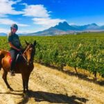 2 Hour Vineyard Trail Ride - The Itinerary in Detail