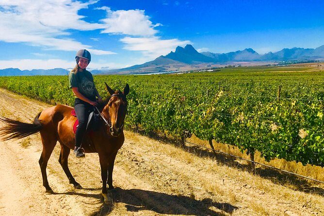 2 Hour Vineyard Trail Ride - The Itinerary in Detail
