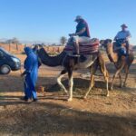 2 Hours Agadir Camel Riding Tour - Deep Dive into the Itinerary