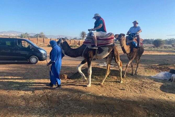 2 Hours Agadir Camel Riding Tour - Deep Dive into the Itinerary