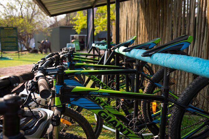 2 Hours Bike Tour In Victoria Falls - Practical Tips for Your Bike Tour