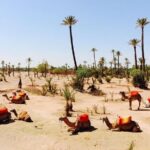 2 Hours Camel Ride in The Famous Marrakech Palm Groves and Berber Villages - Authentic Reviews and Insights