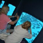 2 Hours Catamaran and Submarine with Snorkeling in Hurghada - Practical Tips for Making the Most of Your Tour