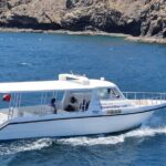 2 Hours Dolphin Watching Cruise in Muscat - What You Can Expect from the Dolphin Watching Experience