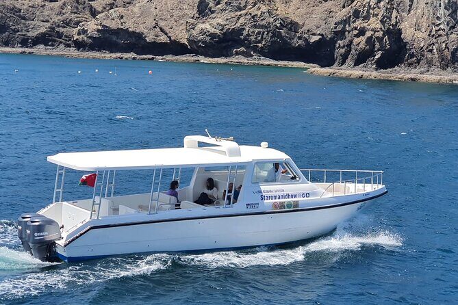 2 Hours Dolphin Watching Cruise in Muscat - What You Can Expect from the Dolphin Watching Experience