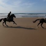 2 hours horse ride beach and dunes in Essaouira Morocco - Authentic Experiences and Honest Feedback
