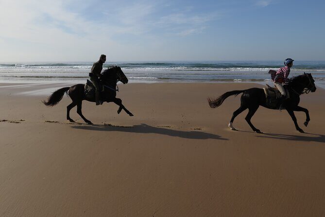 2 hours horse ride beach and dunes in Essaouira Morocco - Authentic Experiences and Honest Feedback