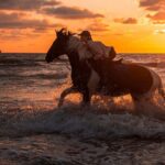 2 Hours Horse Riding Adventure in The Sea & Desert - Hurghada - FAQs