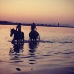 2 hours Horse Riding on The Sea and Desert- Hurghada - What to Expect from the Tour