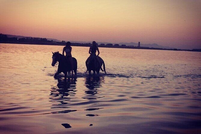2 hours Horse Riding on The Sea and Desert- Hurghada - What to Expect from the Tour