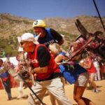 2 Hours of Donkey Polo in Marrakech - What You Can Expect from This Tour