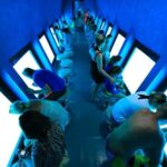 2 Hours Semi-Submarine Snorkeling Sea Trip & Transfer-Hurghada - Authentic Insights from Travelers