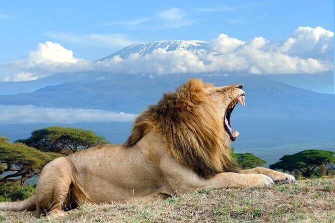 2 Nights 3 Days Amboseli National Park With 4*4 Vehicle - A Closer Look at the Itinerary: What to Expect