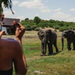 2 Nights 3 Days Chobe Safari ex Livingstone/ Victoria Falls - Final Thoughts