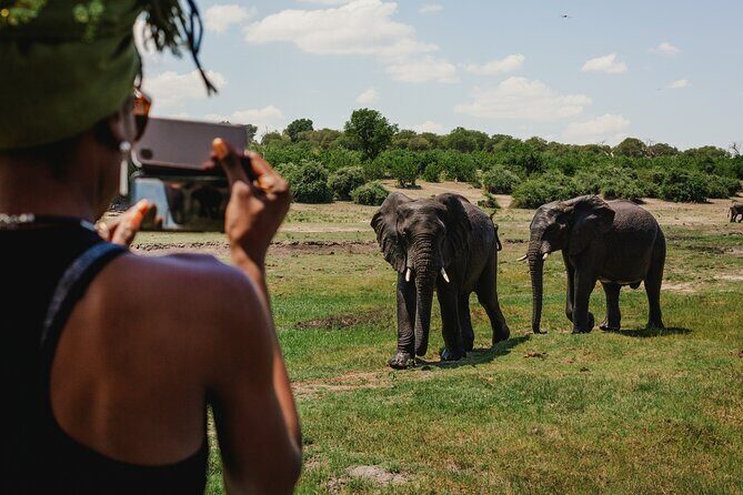 2 Nights 3 Days Chobe Safari ex Livingstone/ Victoria Falls - Final Thoughts