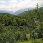 2 nights 3 days Gabala tour from Baku - Practical Details: What You Should Know