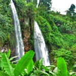 2 Sipi Falls hike and Coffee Tour Experience - What You Can Expect During the Tour