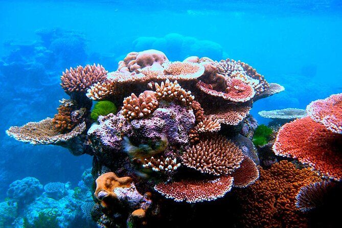 2 To 5 Hours Glass Bottom Boat Private Tour At Read Sea - Who Should Consider This Tour