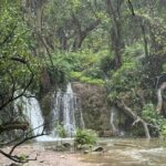 20 Days Oman Package with Salalah and Khasab Tour - Who Is This Tour Best For?