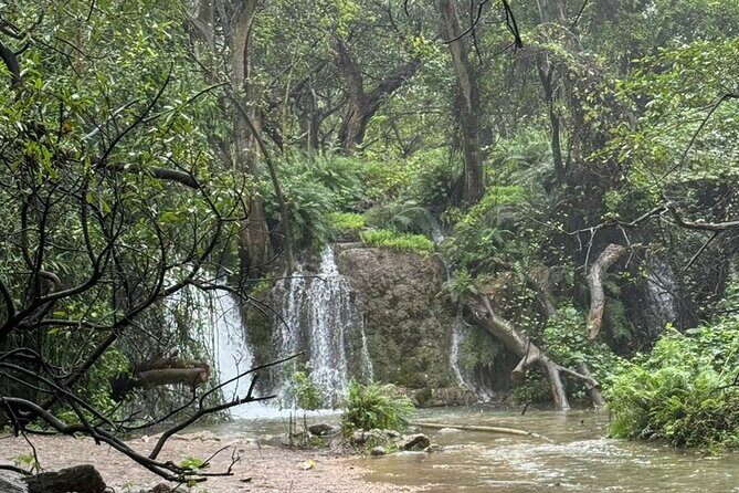 20 Days Oman Package with Salalah and Khasab Tour - Who Is This Tour Best For?