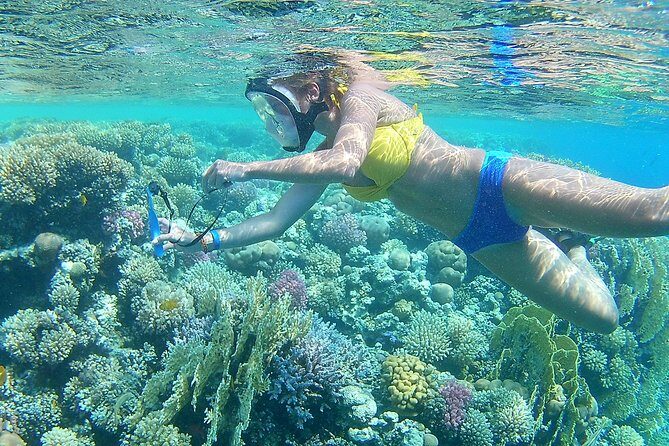 24 Hours Private Boat Snorkeling sea trip and Fishing With equipment - Hurghada - What Makes This Tour Stand Out?