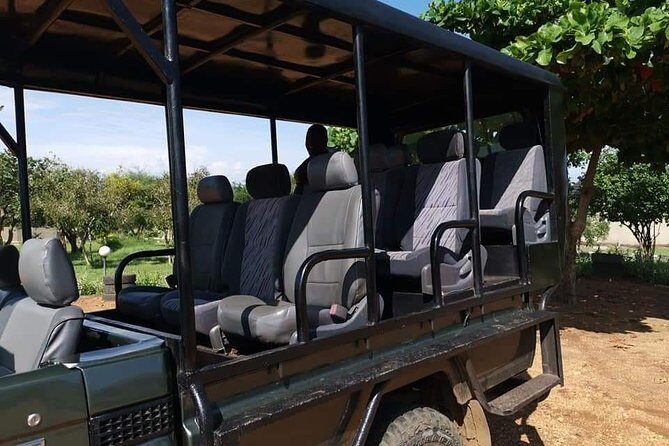 2days Bwindi NP gorilla trekking - Who Should Consider This Tour?