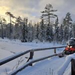 2h private snowmobile experience in Rovaniemi's forest - Who Will Love This Tour?