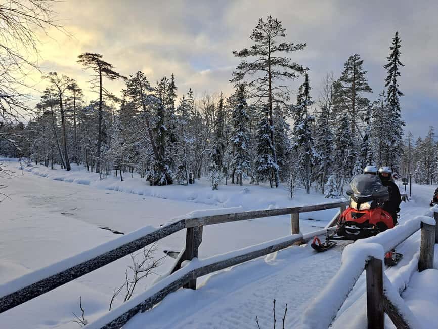 2h private snowmobile experience in Rovaniemi's forest - Who Will Love This Tour?