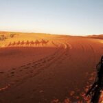 3-day, 2-night desert tour from Fes to Marrakech - What Reviewers Say: Authentic Insights