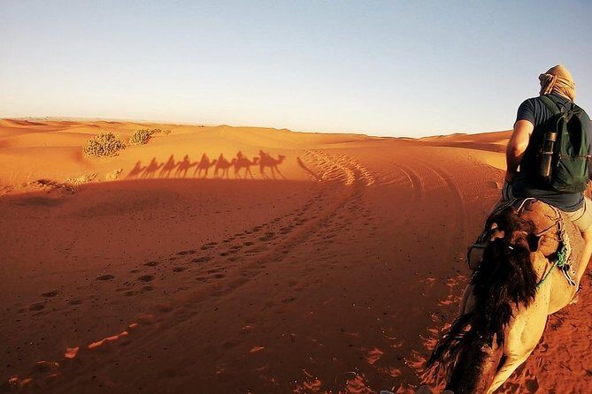 3-day, 2-night desert tour from Fes to Marrakech - What Reviewers Say: Authentic Insights