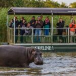 3 Day 2 Night Hluhluwe, St Lucia, Isimangaliso Tour - What Works Well in This Tour