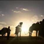 3-day 2-nights desert adventure and Berber encounter - What’s Included and What’s Not