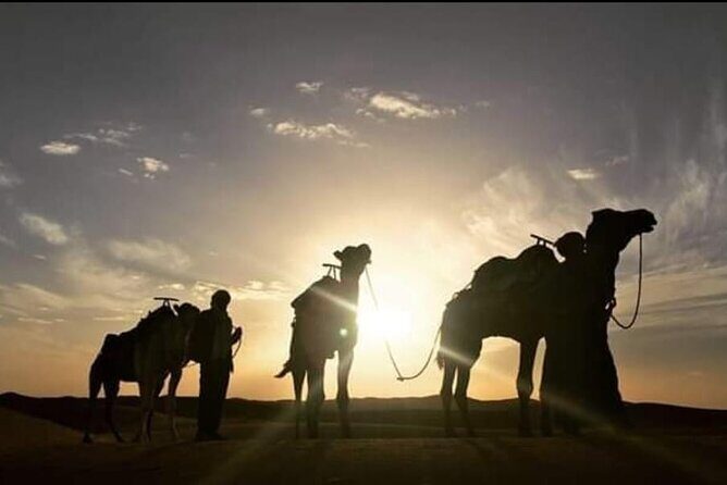 3-day 2-nights desert adventure and Berber encounter - What’s Included and What’s Not